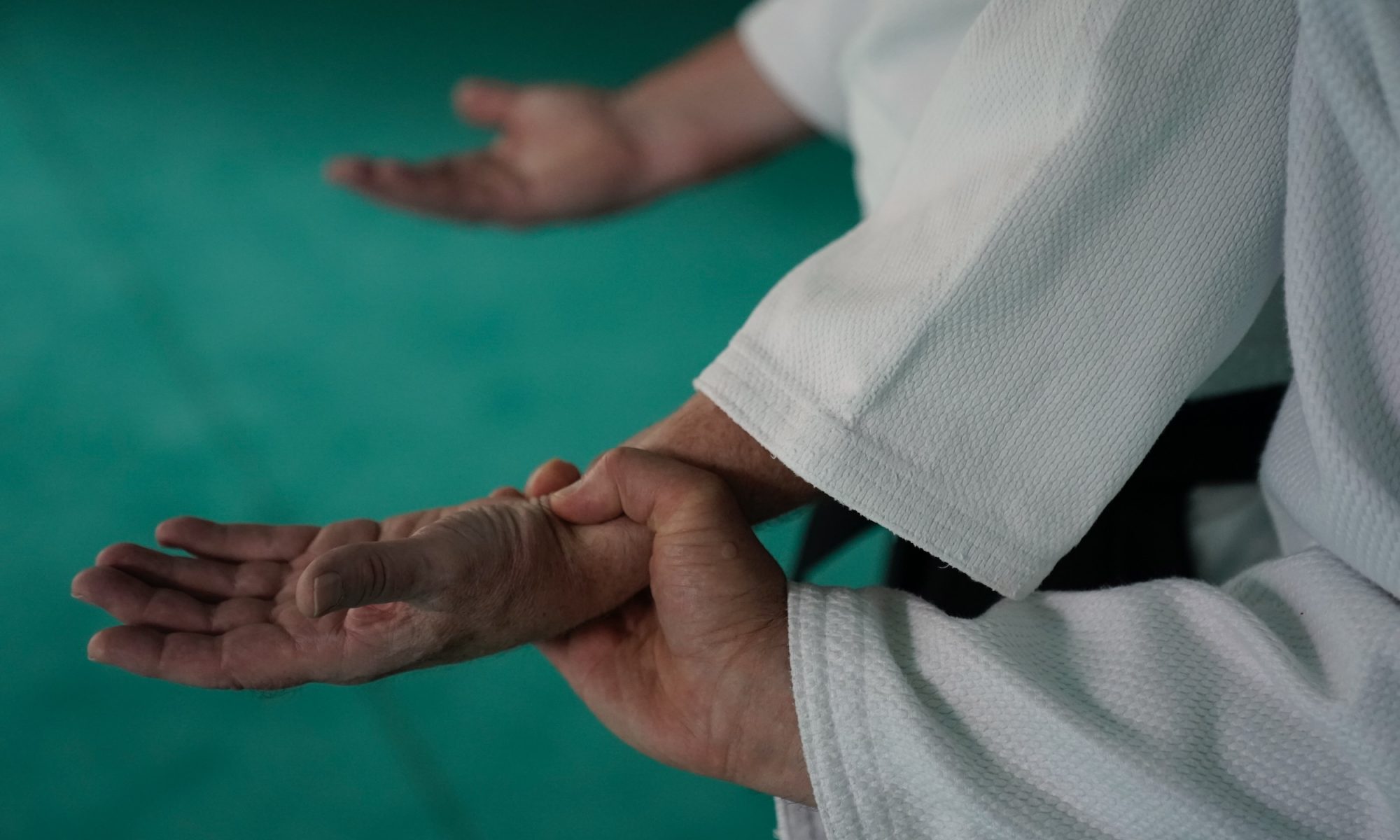 Aikido in Oldenburg