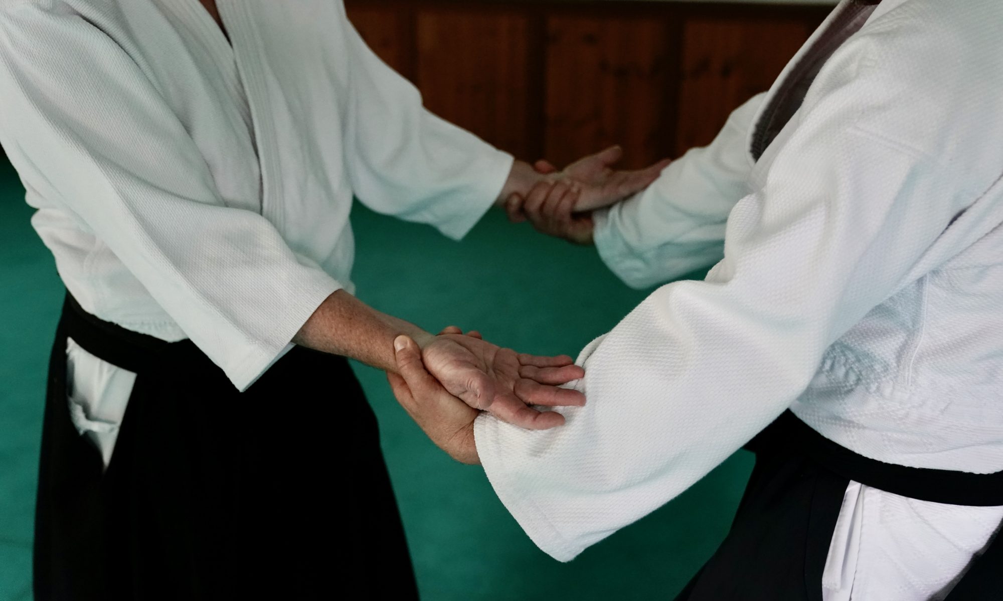 Aikido in Oldenburg